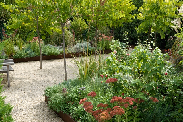 North Adelaide Villa Garden by Taylor Cullity Lethlean.