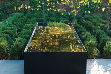 The bedroom courtyard is structured around an elegant reflective pool in the Adelaide villa garden.