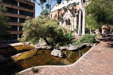 The courtyard was originally planted with a combination of Australian natives.