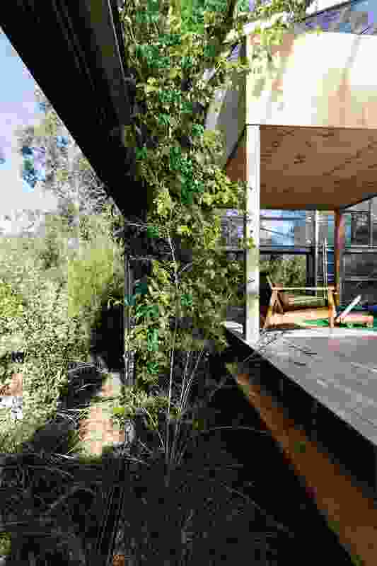 In the place of a verandah, the living area at Garden House is bound by a perimeter of vegetation, contained within the boundaries created by sliding doors. 