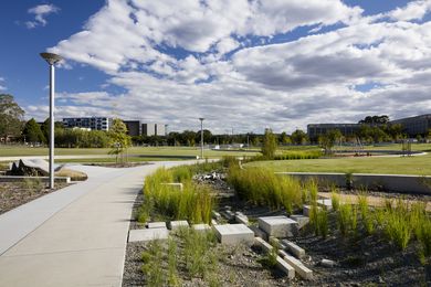 Hassett Park by Jane Irwin Landscape Architecture.