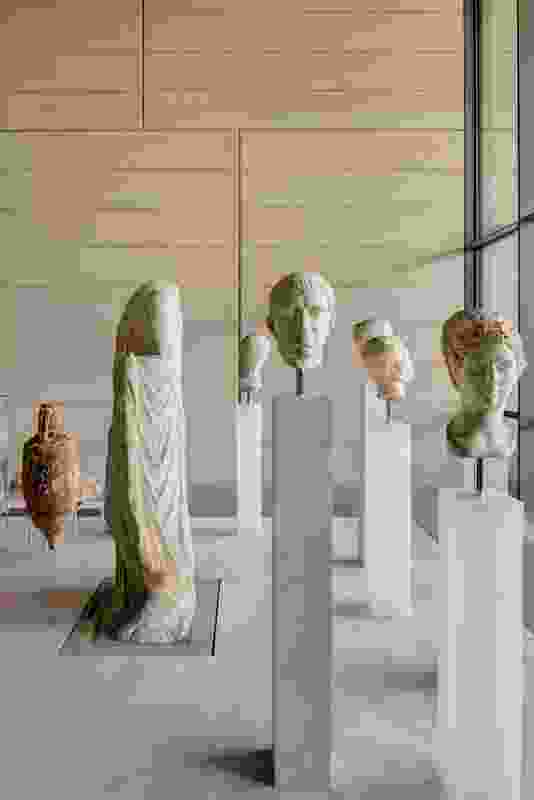 Roman busts are mounted atop pillars of differing translucency and positioned at varying heights to evoke their individuality.
