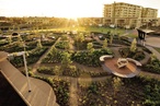 2010 AILA National Landscape Architecture Award: Design
