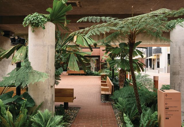 The collaborators have taken advantage of the overhead railway line to create a lush, shady sanctuary in the middle of subtropical Brisbane.