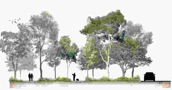 Cross-section of the proposed woodland along the park's border with Queens Road.