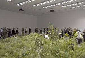 Australia's exhibition at the 2018 Venice Architecture Biennale, Repair, by creative directors Baracco and Wright Architects and Linda Tegg.
