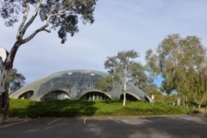 Canberra celebrates the Griffins’ 100 years