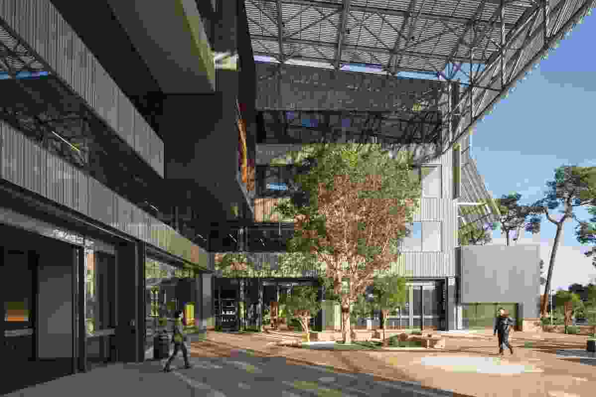 A large courtyard forms the civic heart of the project and endows the surrounding spaces with views and natural light.
