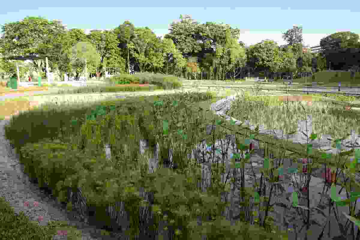 Kallang River Bishan Park’s bio-engineered river edges use a variety of plants and bedding materials.