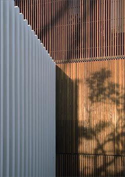 Garlick Avenue House, Singapore, 2003–2005. Image: Albert Lim K S 