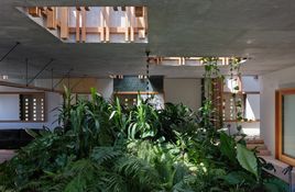 The central courtyard acts as the heart of the home, drawing landscape and daylight deep inside