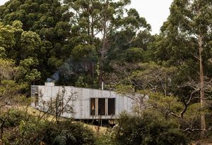 The home is primarily wrapped in salvaged galvanised iron cladding, creating a durable external envelope.