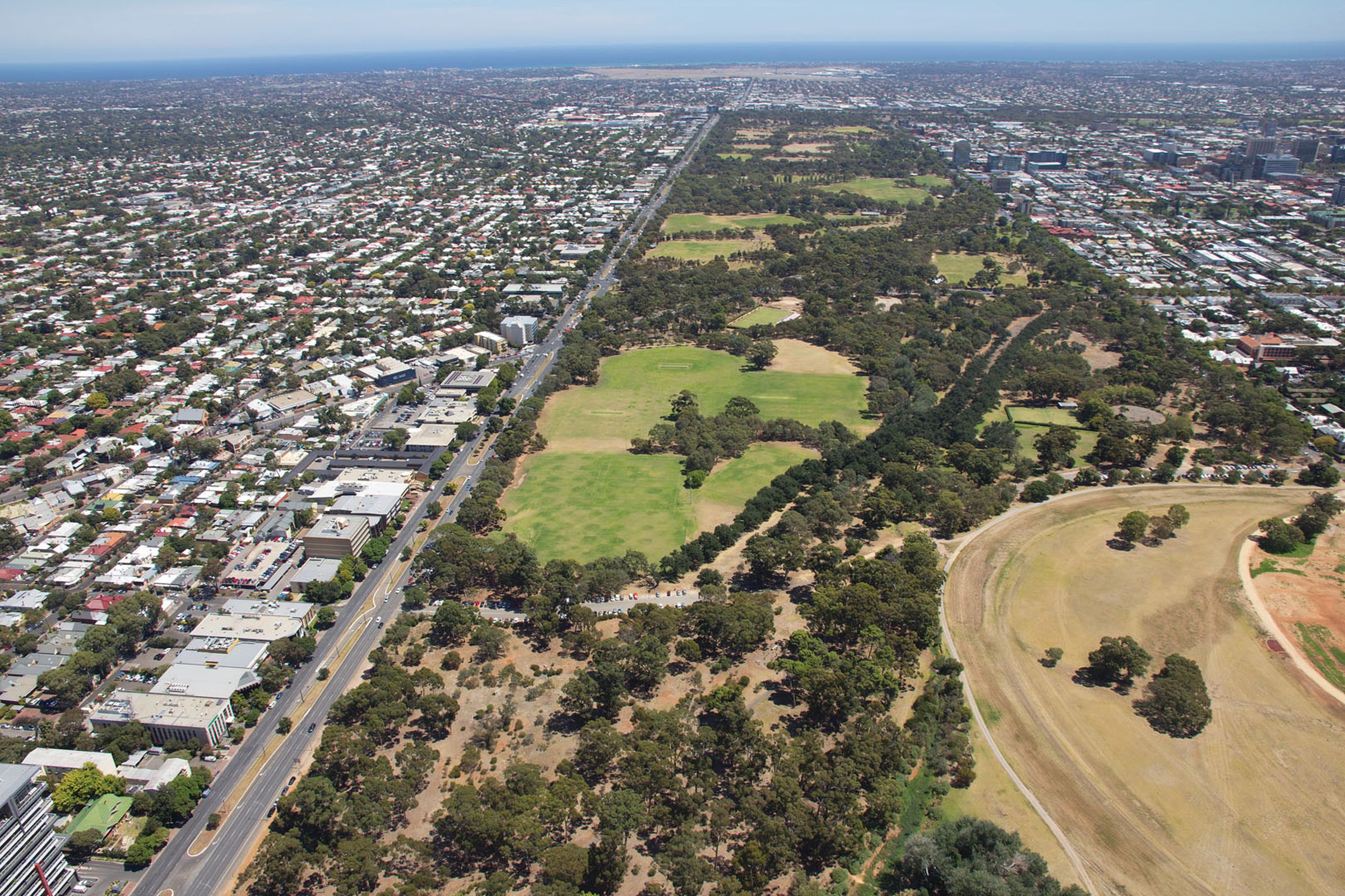 The urban issue | ArchitectureAu