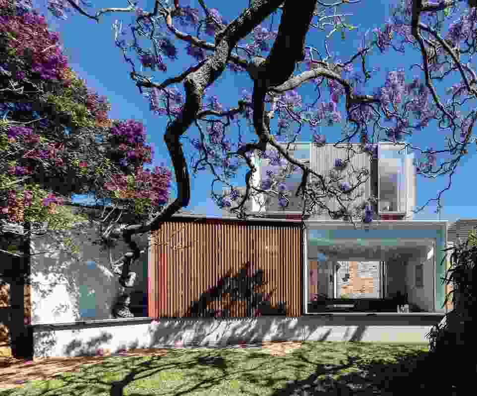 Jac House (2017) celebrates the seasons in a love letter to a jacaranda tree.