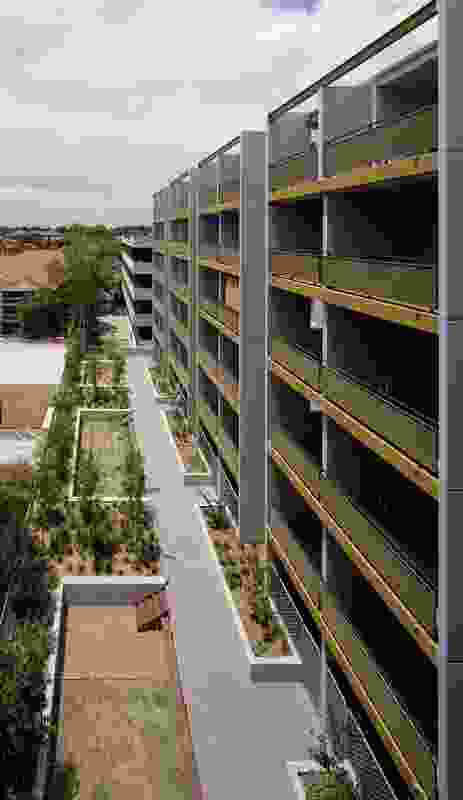 Usable landscaped spaces surround the buildings.