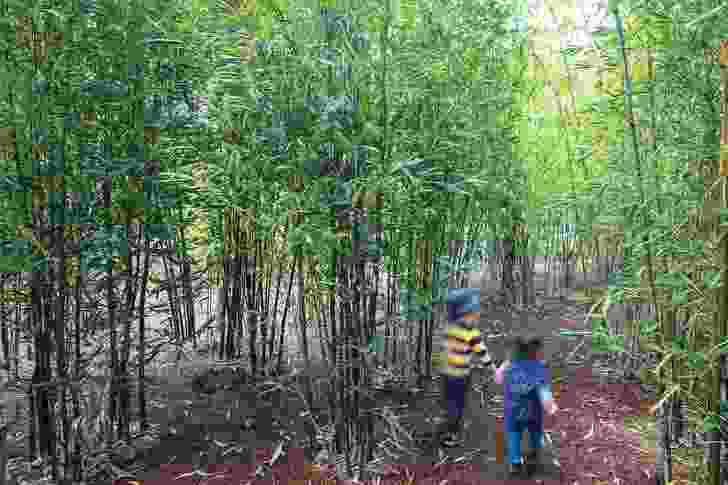 A dense bamboo forest at Ian Potter Children’s Wild Play Garden designed by Aspect Studios at Centennial Park encourages exploration and adventure.