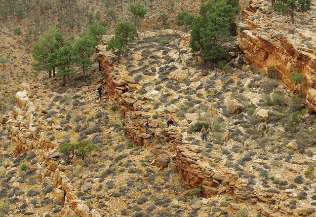 Evidence of the earliest animal life in the Ediacaran and Cambrian periods is now exposed and accessible at Castle Rock’s Maynards Well, which was once a sub-marine canyon.
