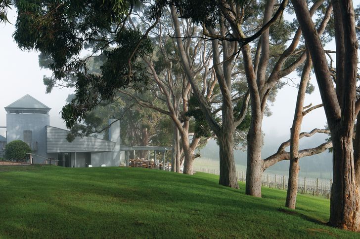 A heady home Polperro Winery ArchitectureAU