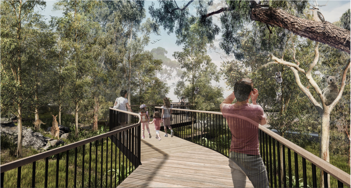 The elevated koala boardwalk of the Upper Australia exhibit at Taronga Zoo by Lahznimmo Architects and Spackman, Mossop and Michaels.