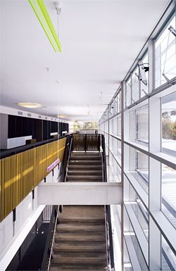 Looking down the length of the transparent circulation spine, with suspended coloured lighting and woven balustrades.