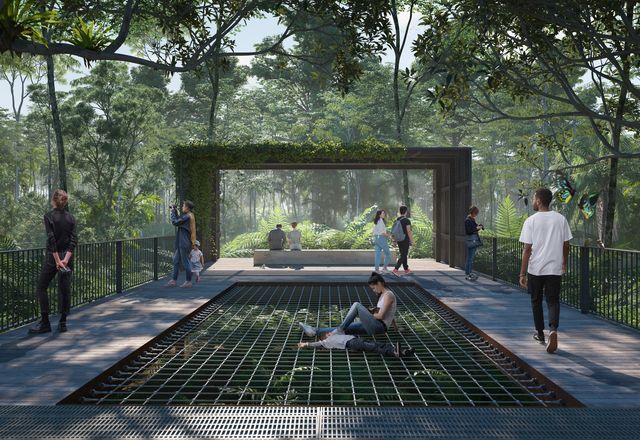 Sunshine Coast Council has endorsed the master plan for Sunshine Coast Ecological Park, with design to be led by Hassell.