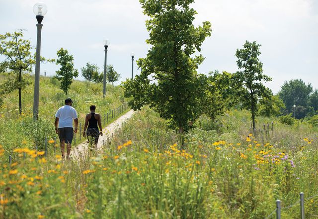 Prairie planting at Henry Palmisano Park in Chicago by Site Design Group and D.I.R.T studio.