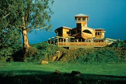 Hackford
House; Windhover Residence roof