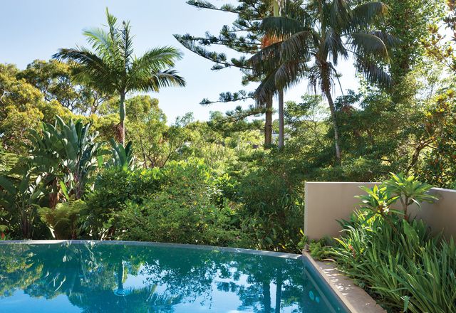 Lush tropical plantings at the rear of the garden are reflected on the pool’s surface.