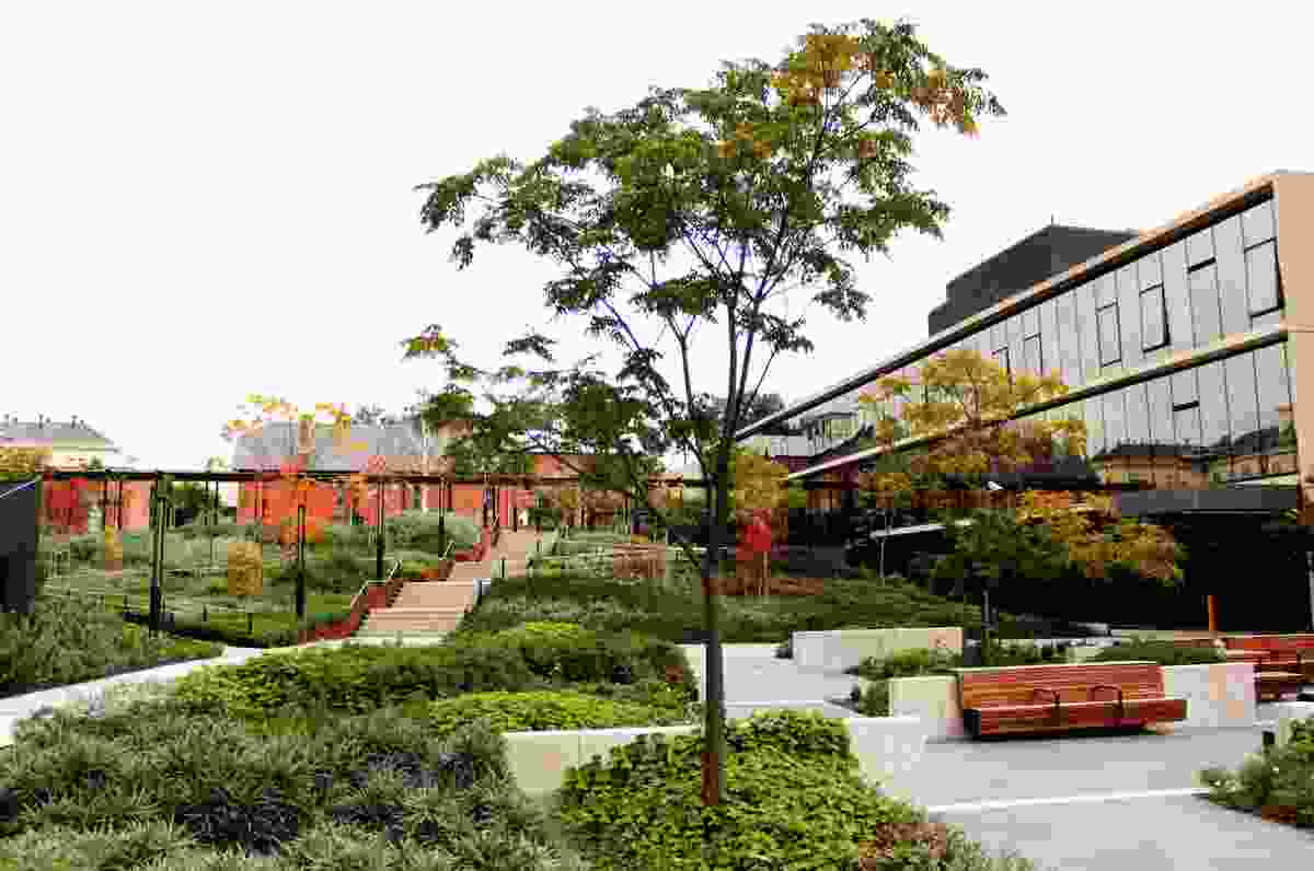 Bendigo Hospital Project by Oculus Landscape Architecture and Urban Design won the Award of Excellence in the Civic Landscape category.