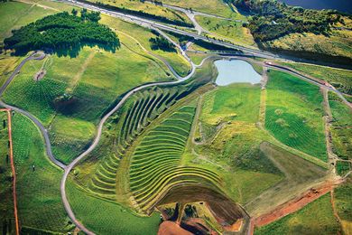 Patterns in the landscape are more visible in these early years.