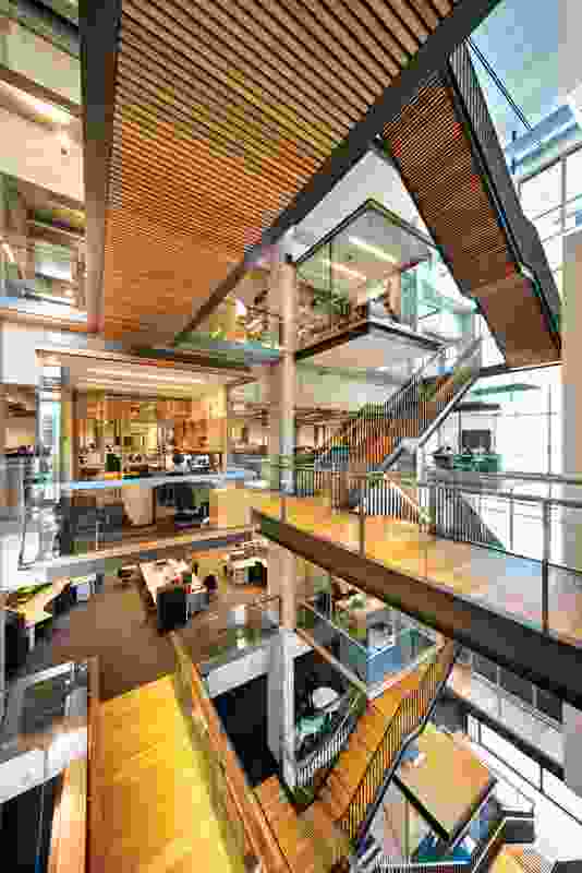 The atrium is activated by serried flights of stairs, walkways and decks.