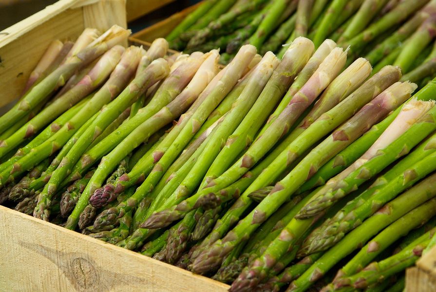Koo Wee Rup, 60 kilometres to the south east of Melbourne, produces over 90 percent of Australia’s asparagus.