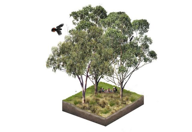 Working with landscape architecture firm Realm Studios, E2 Design Lab and Spiire, the NSW government is developing protocols to help councils achieve 40 percent tree canopy coverage.