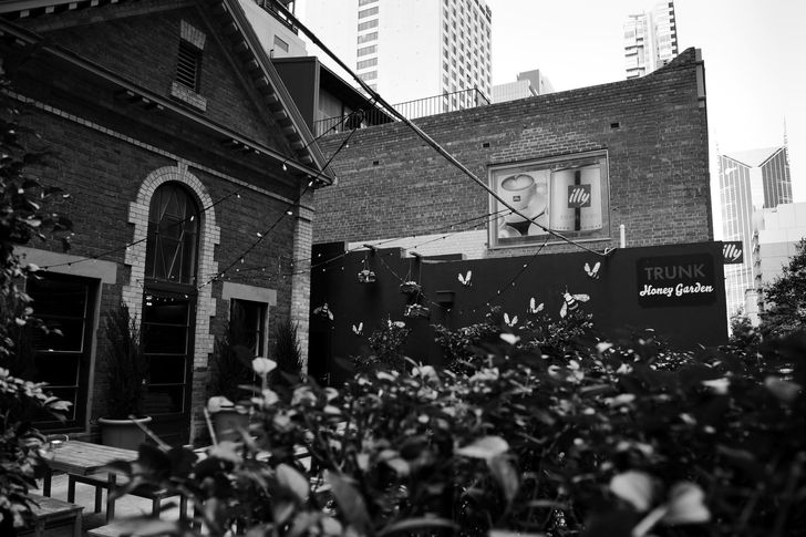 A toast to the urban honeybee