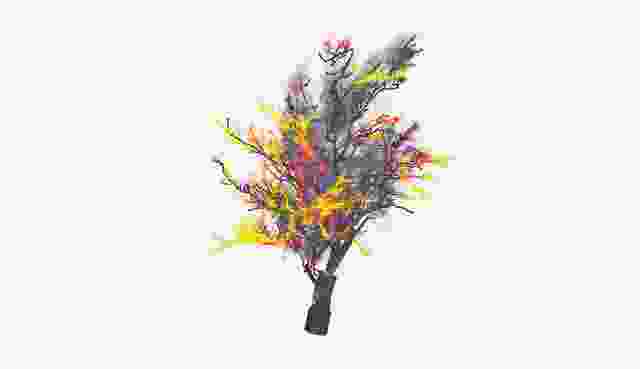 A digital model of a large old tree – colours indicate branches preferred by birds. Such modelling can help landscape architects design for and with nonhuman lifeforms.