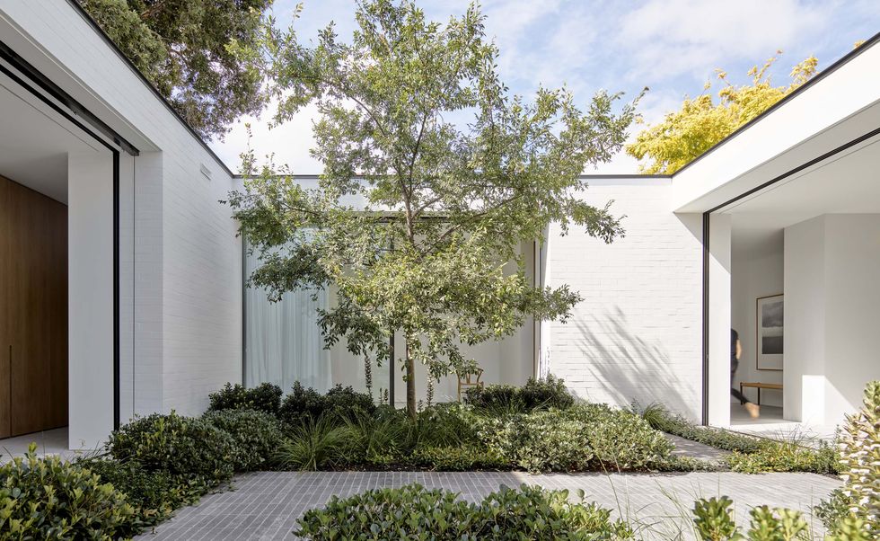 Introspective sanctuary Queens Park House ArchitectureAU