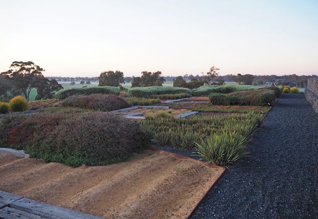 A path takes visitors to the top of a mound above the old tip, opening up views of the gardens and surrounding trees.