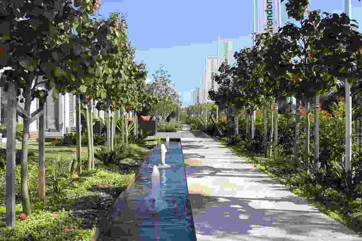 Award for Residential Designed Landscapes: Eco Living Display Village by Paterson Design Strategies, Landcom and Design Landscapes.