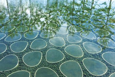 Parkkim’s project CJ Blossom Park for South Korean conglomerate CJ Corporation includes a water feature whose design is informed by the company’s logo.