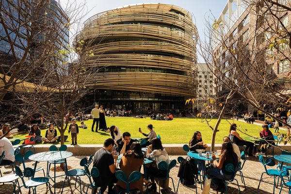 A diverse mix of local residents, workers, students, tourists and other visitors gather at the green at Darling Square to eat, drink, socialize and relax.