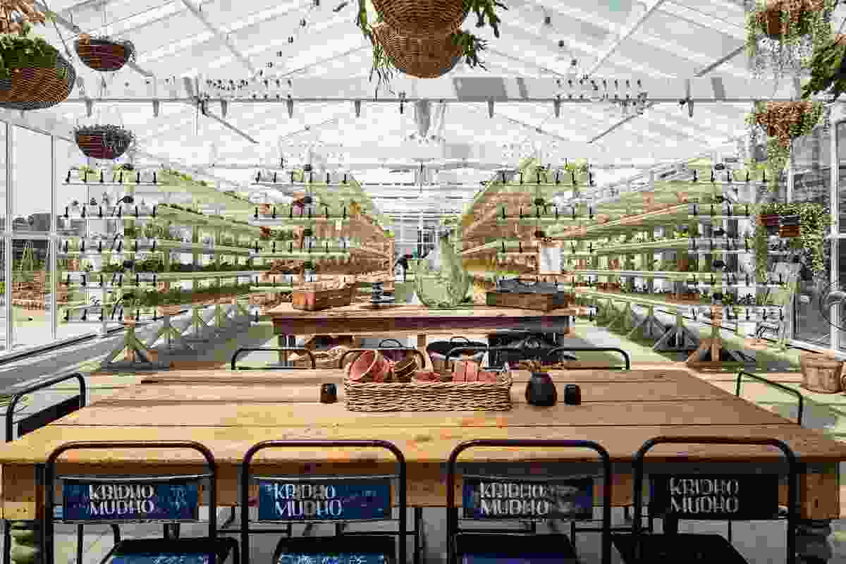 A rooftop farm doubles as a space for workshops on topics such as growing food at home and keeping happy, healthy chickens.