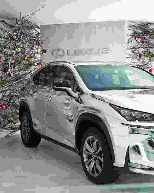 The entry to the marquee featured the new Lexus NX car and mounted stacks of branches and roses by Joost Bakker.