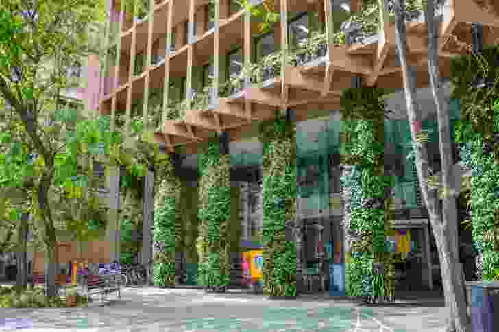 Colonel Light Centre Forecourt Green Wall by City of Adelaide, Design & Strategy. 