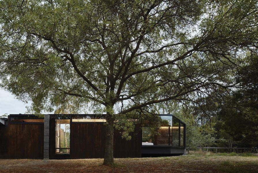 A Pavilion Between Trees by Branch Studio Architects.