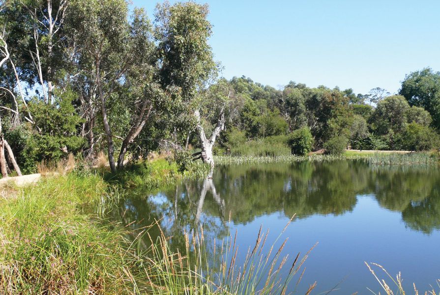 2020 National Landscape Architecture Awards: Award of Excellence for ...