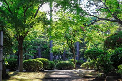 Australian Landscape Conference 2021