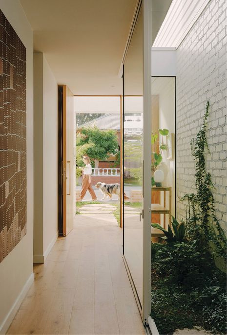 A planted coutyard near the entry provides light, outlook and ventilation.  Artwork: Walala Tjapaltjarri.