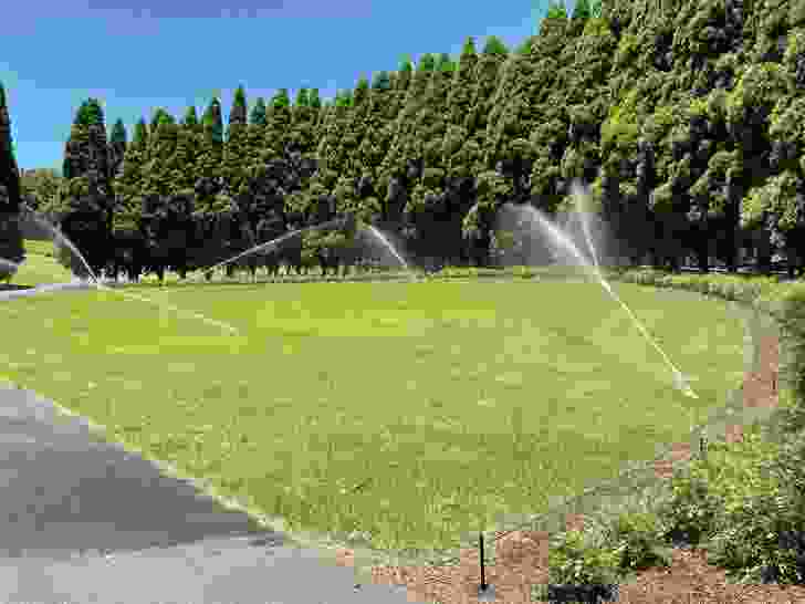The irrigation system embedded in Bicentennial Park is the lifeline for plants. Irrigation usually takes place at night to prevent interference with visitors.