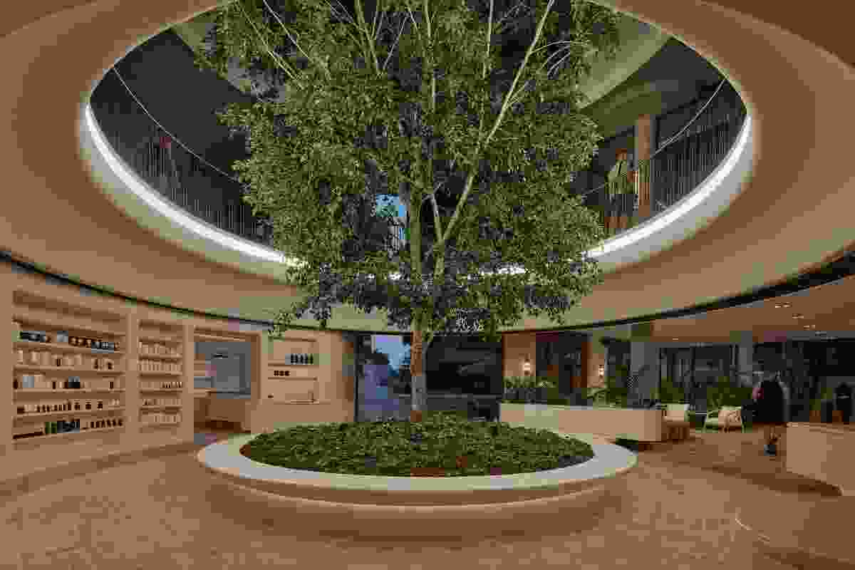 The 'Tree of Life' in the welcome area.