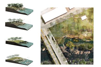 Edge treatments prioritize ecosystem health while reconnecting people to the creek.